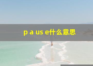 p a us e什么意思